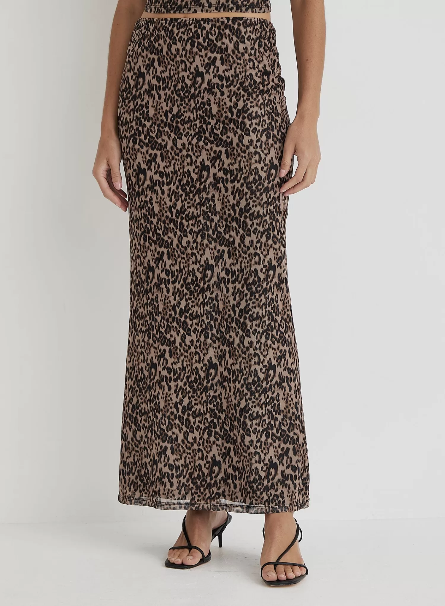 Leopard Print Mesh Maxi Skirt- Cher-4th & Reckless Sale
