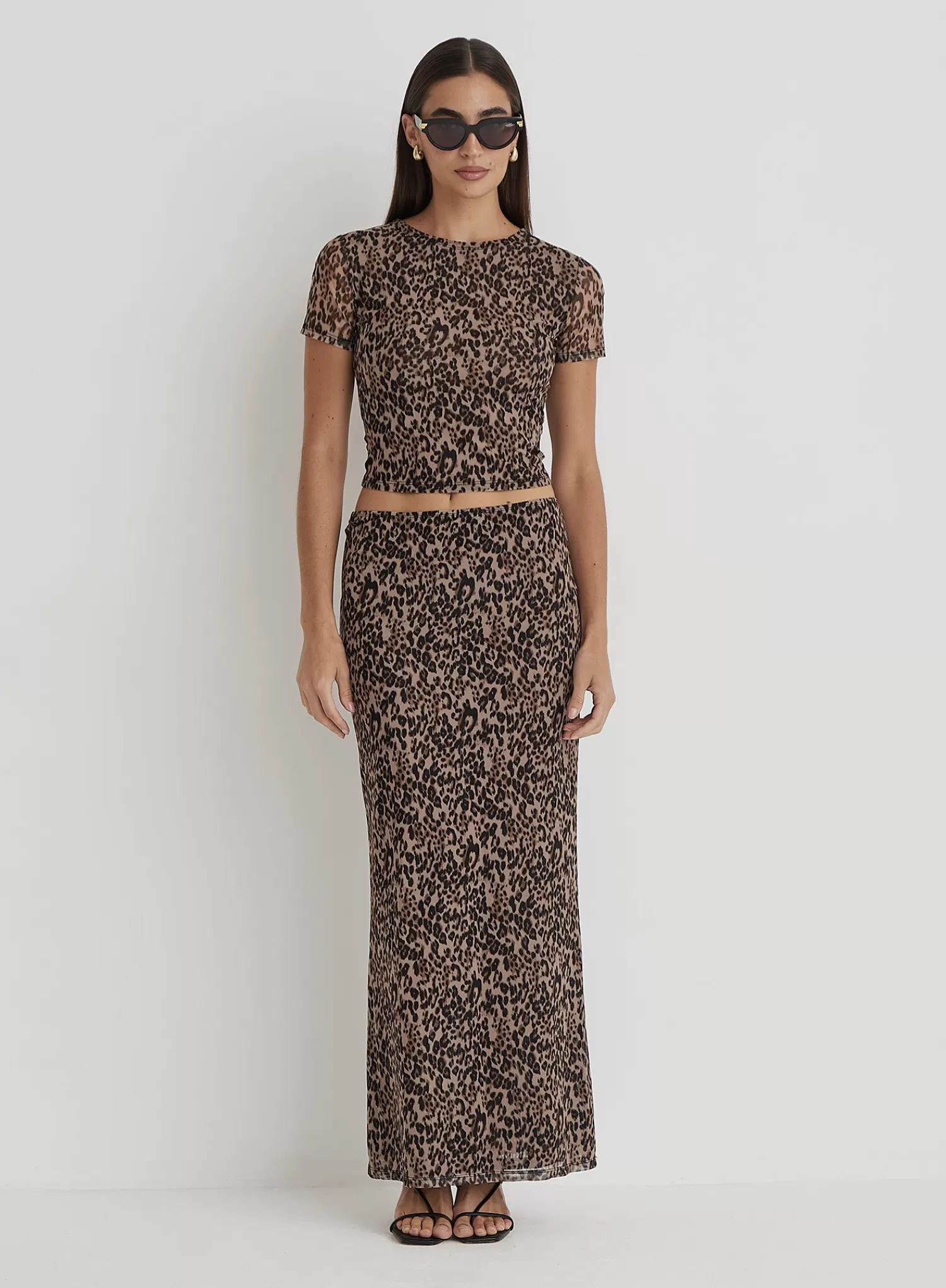 Leopard Print Mesh Short Sleeve Top- Cher-4th & Reckless Shop